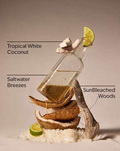 Waikiki beach coconut body cream by bath & body works